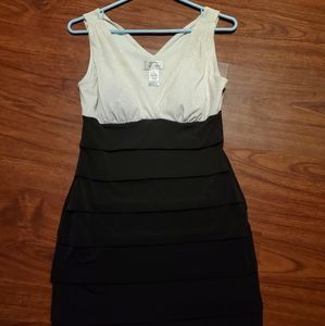 Sweet Storm Dress Size Large